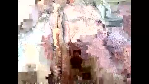 Snapshot of mommyissues2386 chatting on 09-28-25, 09:53 Richard Sheridan online show from 09-28-25, 09:53