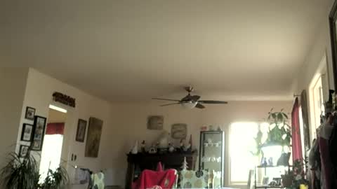 Snapshot of monkeedance chatting on 01-01-25, 07:43 Monkee Dance online show from 01-01-25, 07:43