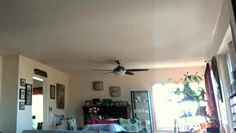 Snapshot of monkeedance chatting on 01-28-25, 05:35 Monkee Dance online show from 01-28-25, 05:35