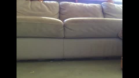 mookaite05 online show from 03-03-25, 02:26