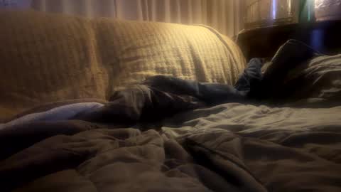 Snapshot of moon_man5 chatting on 02-20-25, 11:31 Mitchell online show from 02-20-25, 11:31