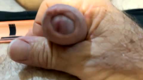 Snapshot of moreletii chatting on 10-24-25, 08:49 Me online show from 10-24-25, 08:49