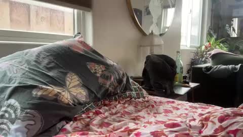 Snapshot of moreplease413 chatting on 12-27-24, 08:18 moreplease413 online show from 12-27-24, 08:18