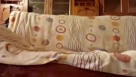 Snapshot of mospeleu chatting on 12-11-24, 08:04 Nomadu online show from 12-11-24, 08:04