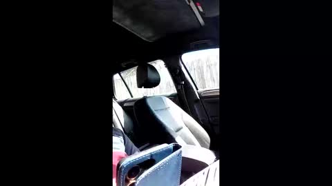 Snapshot of mospeleu chatting on 03-14-26, 10:42 Nomadu online show from 03-14-26, 10:42