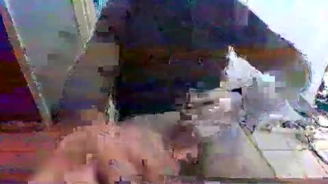 Snapshot of mppempis81 chatting on 11-15-25, 07:27 mppempis81 online show from 11-15-25, 07:27