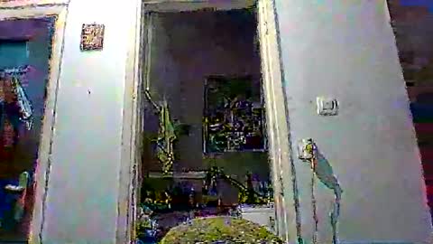 mppempis81 online show from 01-08-26, 03:58