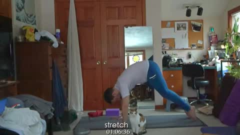 ninko online show from 01-31-25, 05:42