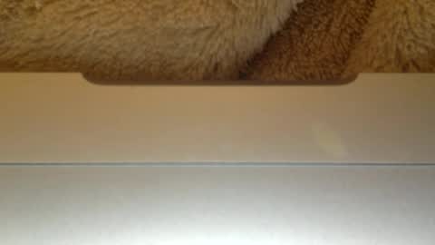 mr_himm online show from 04-23-26, 12:56