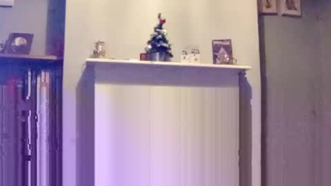 mr_i_ online show from 12-17-24, 08:10