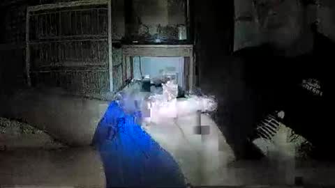 mrgray11xxx aussie online show from 12-08-24, 05:01