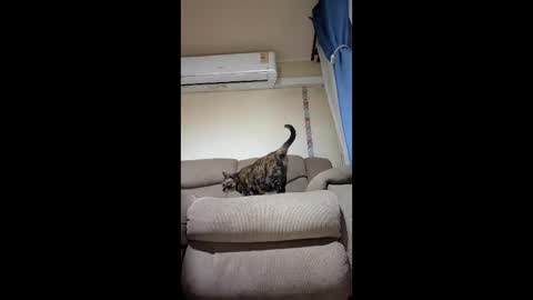 Snapshot of mrlilnice chatting on 01-12-26, 08:30 mrlilnice online show from 01-12-26, 08:30