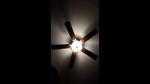 mrorange50187 online show from 12-18-24, 12:32