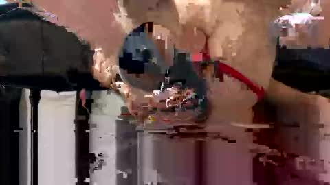 Snapshot of mrsexalot69 chatting on 09-12-25, 12:55 mrsexalot69 online show from 09-12-25, 12:55