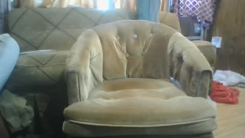 mrstergreen9 online show from 10-05-25, 08:29