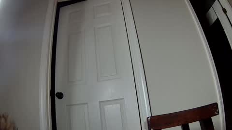 Snapshot of ms_queen chatting on 12-02-24, 03:37 missqueenbbw online show from 12-02-24, 03:37