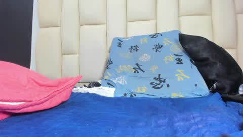 Snapshot of mss_mar chatting on 12-17-24, 09:17 FERNANDA 3 online show from 12-17-24, 09:17