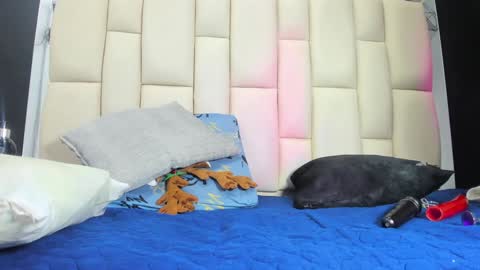 Snapshot of mss_mar chatting on 12-19-24, 03:07 FERNANDA 3 online show from 12-19-24, 03:07