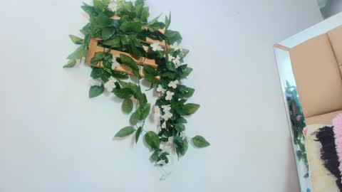 MARIA ANTONELLA 3 online show from 01-15-26, 03:11