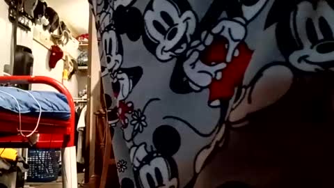 Snapshot of muddflapz chatting on 10-06-25, 10:56 muddflapz online show from 10-06-25, 10:56