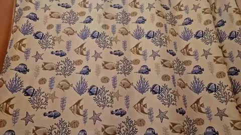 Muffdiver online show from 03-26-26, 07:41