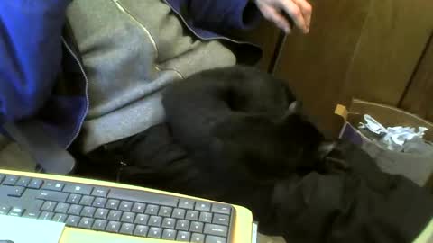 muller520 online show from 02-21-25, 04:48