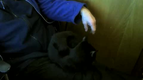 muller520 online show from 01-09-26, 04:21