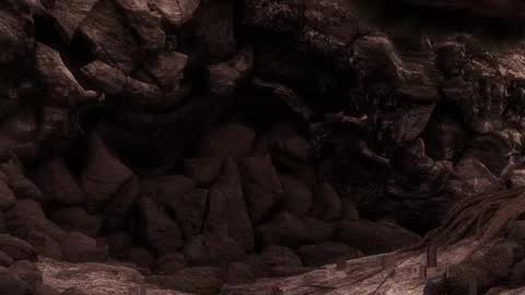 multitest101 online show from 03-17-26, 06:55