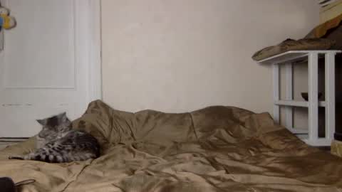 Snapshot of muse_online chatting on 12-04-24, 11:41 Muse Ali online show from 12-04-24, 11:41