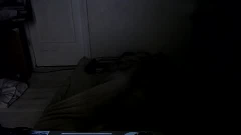 Snapshot of muse_online chatting on 12-17-24, 04:23 Muse Ali online show from 12-17-24, 04:23