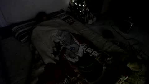 Snapshot of muse_online chatting on 12-23-24, 08:00 Muse Ali online show from 12-23-24, 08:00