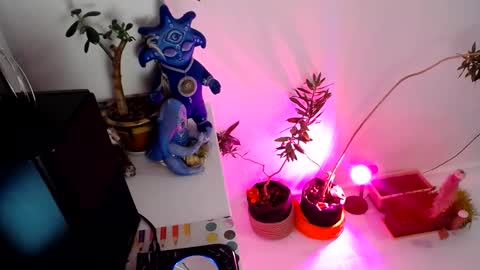 Snapshot of muse_online chatting on 12-31-24, 02:14 Muse Ali online show from 12-31-24, 02:14