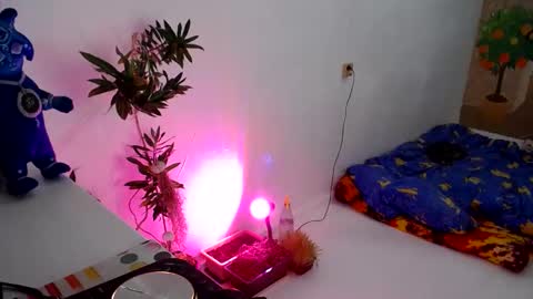 Snapshot of muse_online chatting on 12-31-24, 05:18 Muse Ali online show from 12-31-24, 05:18