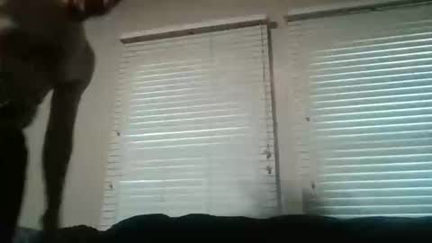 vienna online show from 11-16-25, 10:26