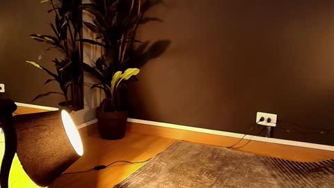 Maite online show from 02-01-25, 05:58