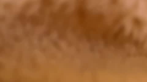 Mya-be Yours P online show from 02-12-25, 09:33