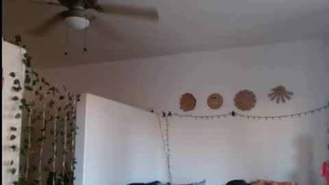 LA MARIPOSA DE MARICOPA online show from 02-21-25, 12:38