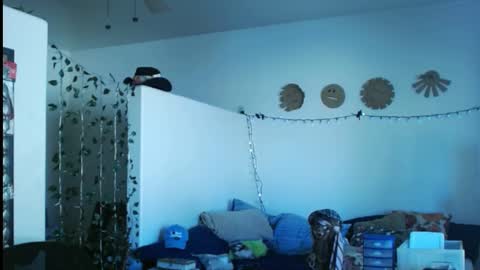 LA MARIPOSA DE MARICOPA online show from 03-02-25, 09:43