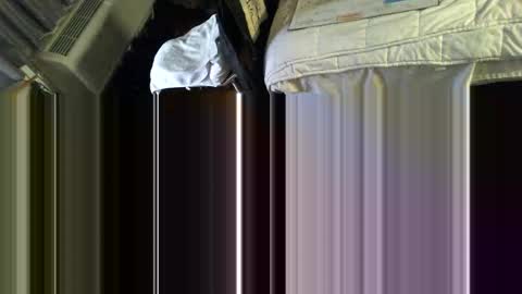 Snapshot of mycock4u247 chatting on 11-13-25, 12:09 LA MARIPOSA DE MARICOPA online show from 11-13-25, 12:09