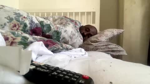 Snapshot of mycockissohard2021 chatting on 02-14-25, 02:54 mycockissohard2021 online show from 02-14-25, 02:54