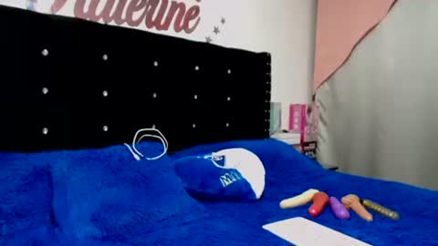 Snapshot of myrandafliiers chatting on 11-26-25, 01:39 myranda online show from 11-26-25, 01:39