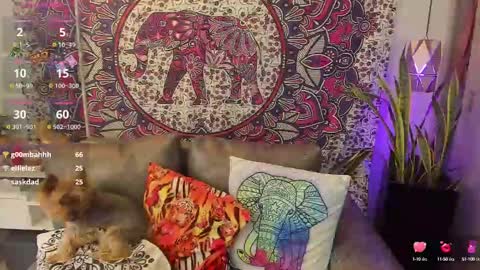 Snapshot of mysaris3 chatting on 02-10-25, 08:21 S A R A online show from 02-10-25, 08:21