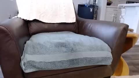 Snapshot of n2deeeep chatting on 11-10-25, 03:55 Lynn online show from 11-10-25, 03:55