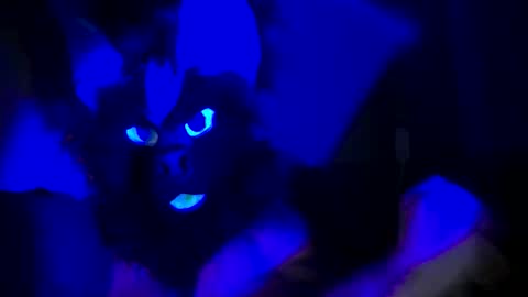 Snapshot of n33ds2br33d chatting on 10-19-25, 03:07 n33ds2br33d online show from 10-19-25, 03:07