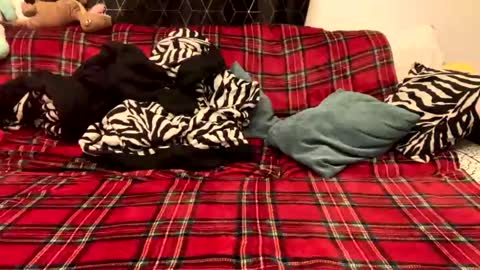 unable nkd life online show from 12-15-24, 05:31