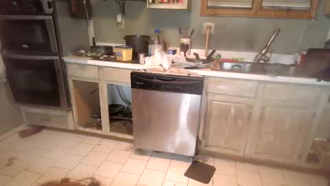 Snapshot of nakednate1780 chatting on 12-06-24, 01:29 nakednate1780 online show from 12-06-24, 01:29