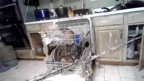 Snapshot of nakednate1780 chatting on 03-03-25, 07:32 nakednate1780 online show from 03-03-25, 07:32