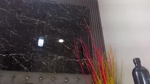 NALAROY online show from 01-10-25, 03:16