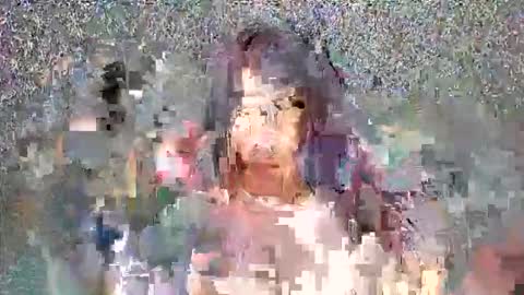 Lady online show from 04-05-26, 05:54