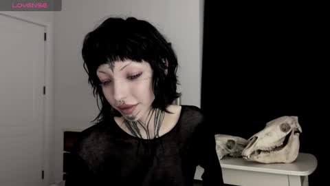 Snapshot of nananevaeragain chatting on 12-28-24, 04:09 Nana online show from 12-28-24, 04:09